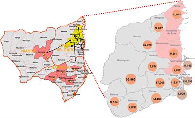 Prevalence and associated factors of common mental disorders among internally displaced people by armed conflict in Cabo Delgado, Mozambique: a cross-sectional community-based study